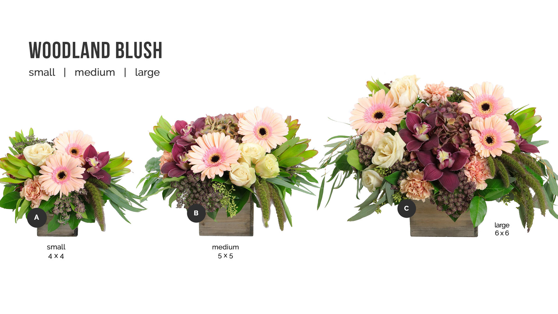 Berry Blush - Floral Arrangement - Small (set of 5) — Paris312